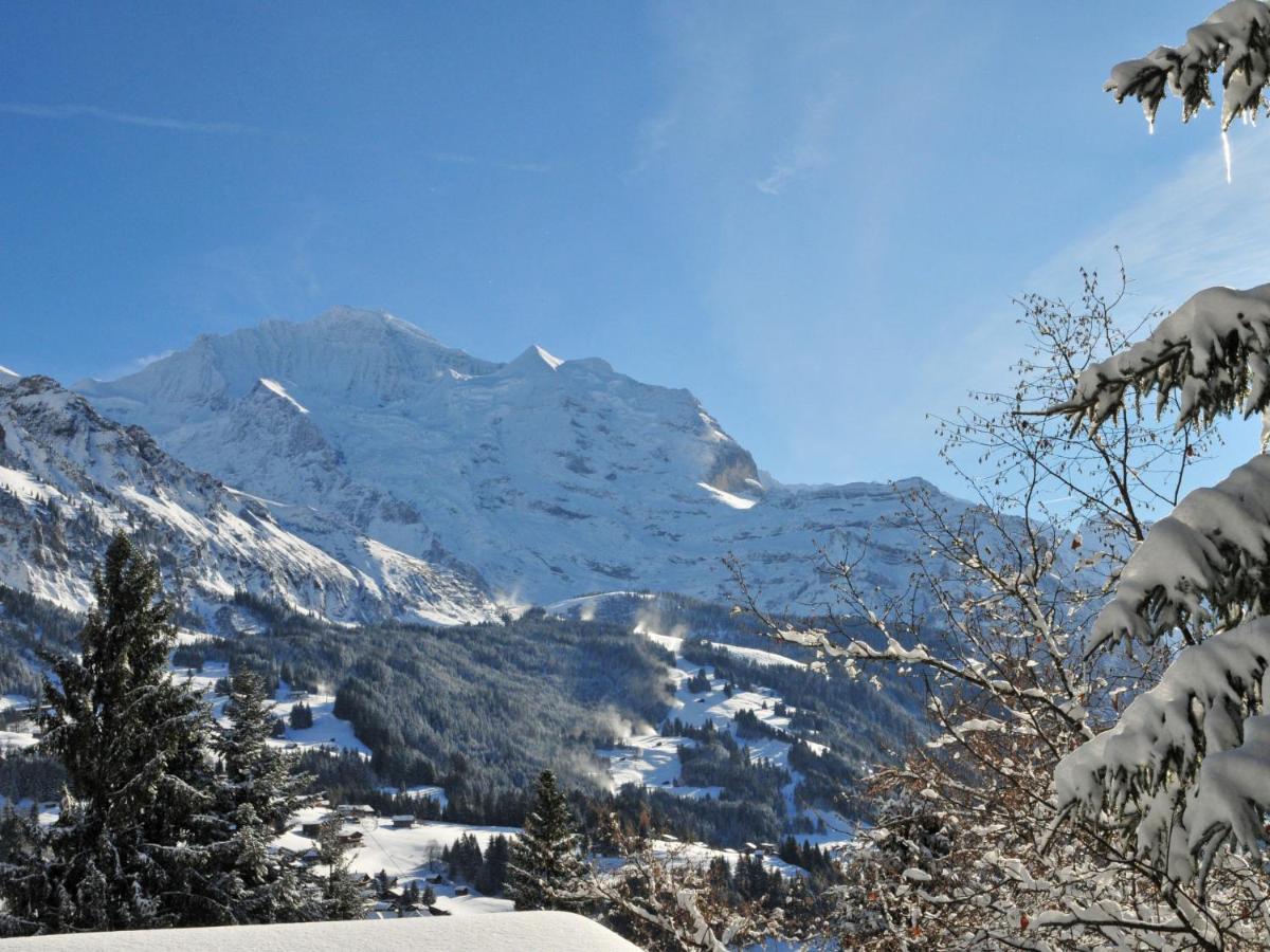 Apartment Im Gruebi-1 By Interhome Wengen Esterno foto